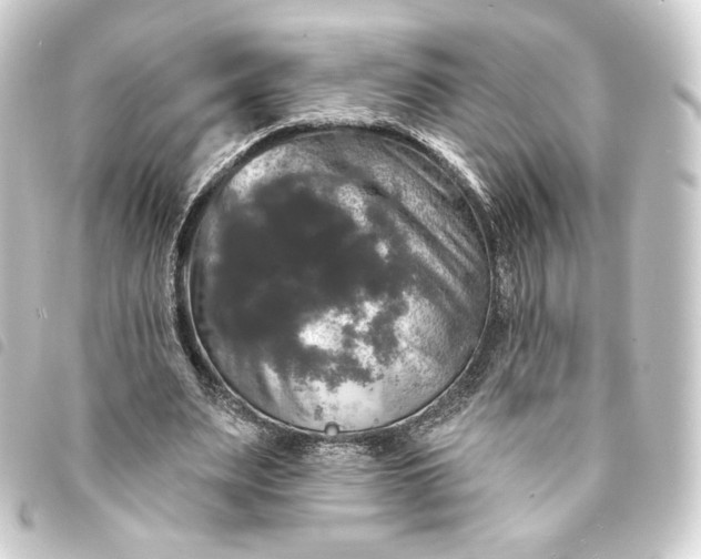 X0000093740487200710301108