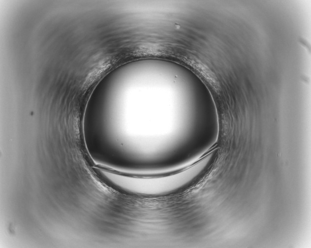 X0000093740489200710301108