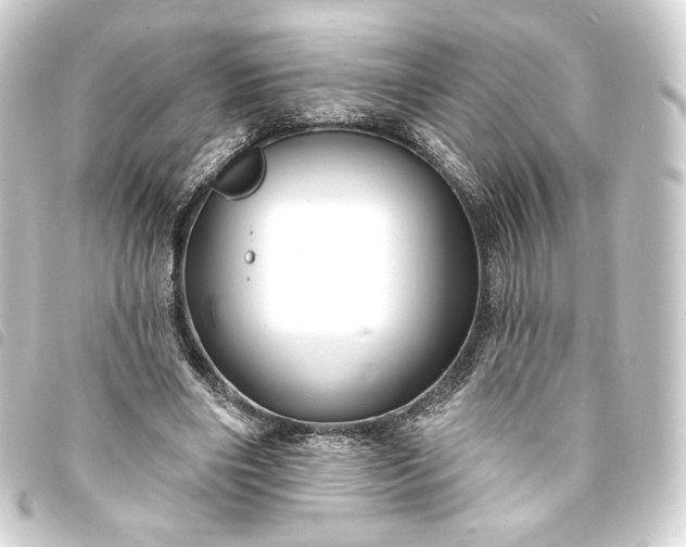 X0000093740490200710301108