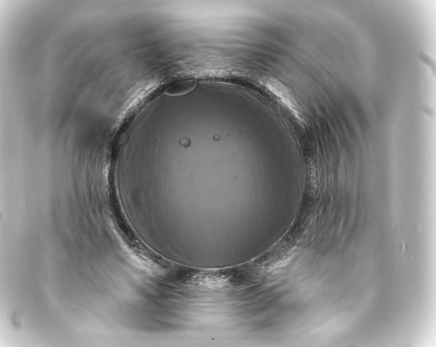 X0000093740491200710301108