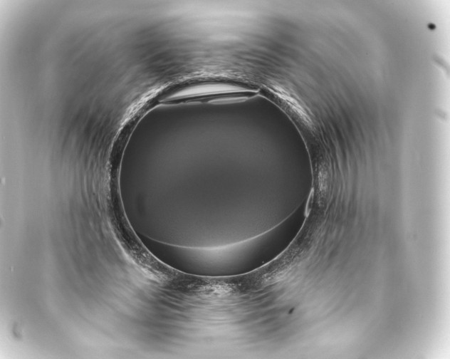 X0000093740492200710301108