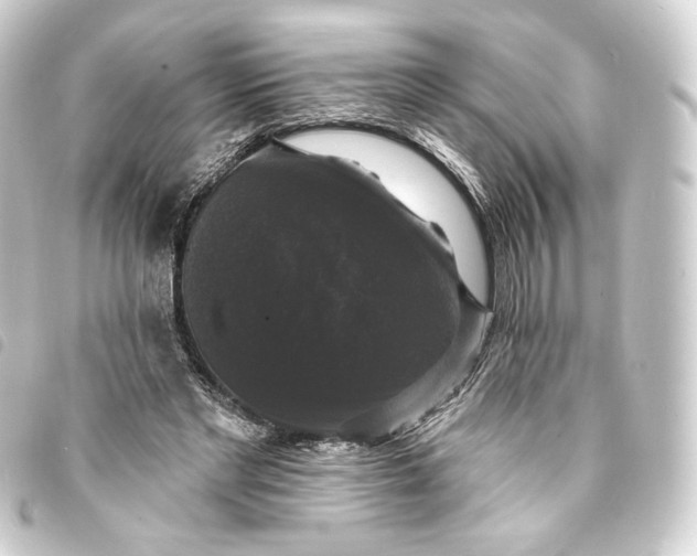 X0000093740493200710301108