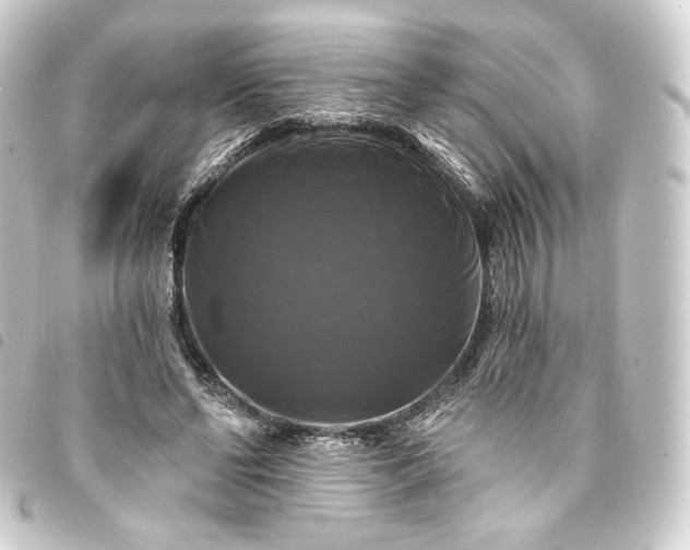 X0000093740494200710301107