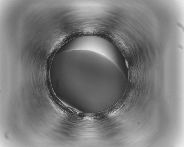 X0000093740496200710301107