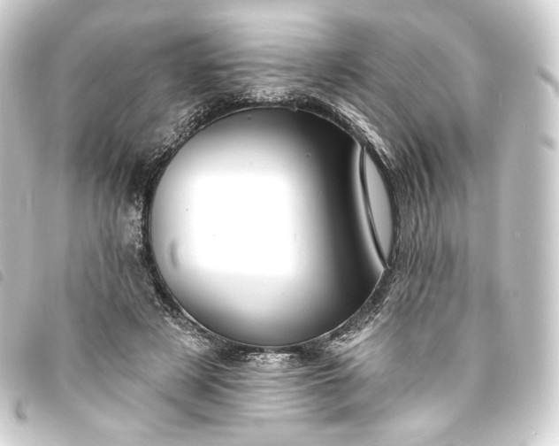 X0000093740497200710301107