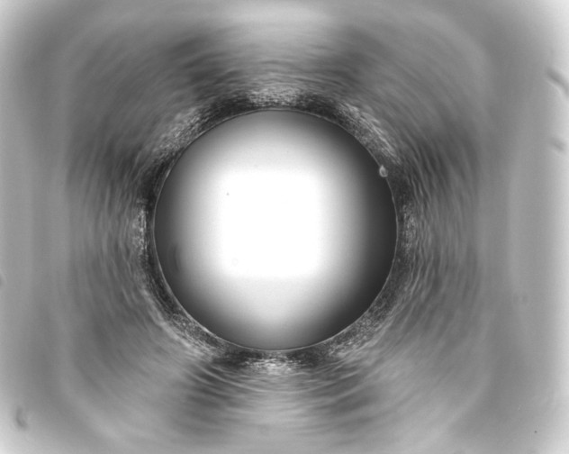 X0000093740498200710301107