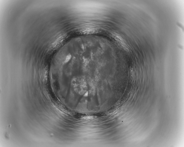 X0000093740499200710301107