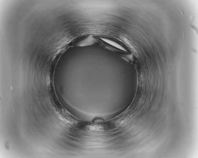 X0000093740500200710301107