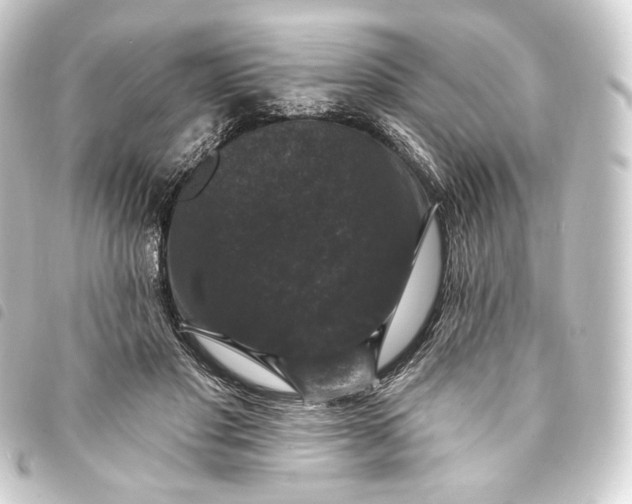 X0000093740501200710301107