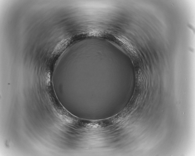 X0000093740502200710301107