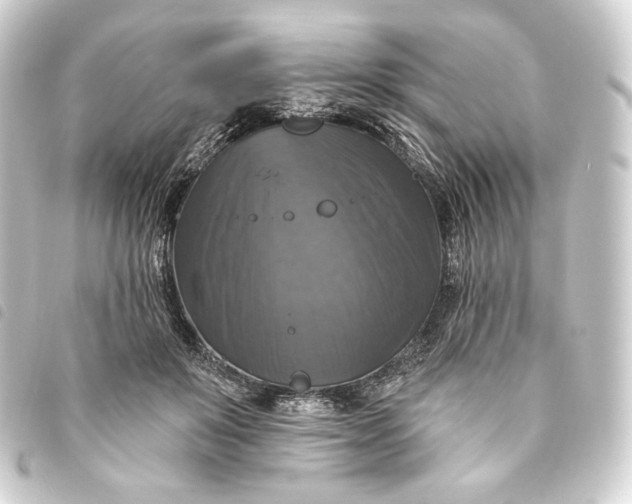 X0000093740503200710301107