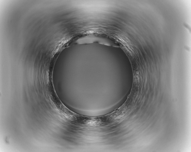 X0000093740504200710301107