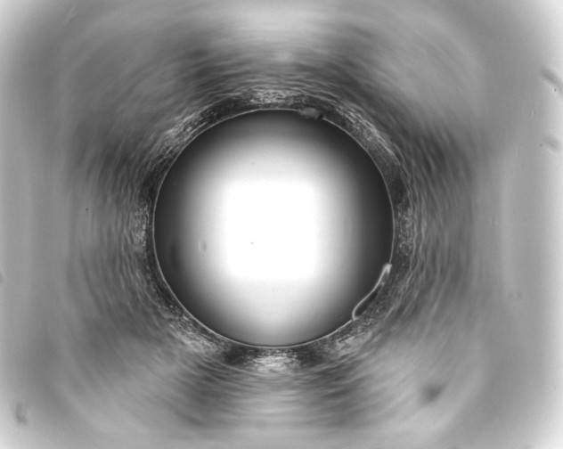 X0000093740505200710301107