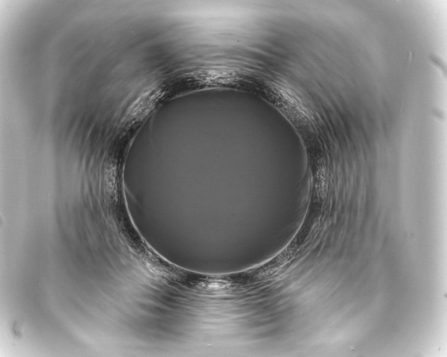 X0000093740506200710301107