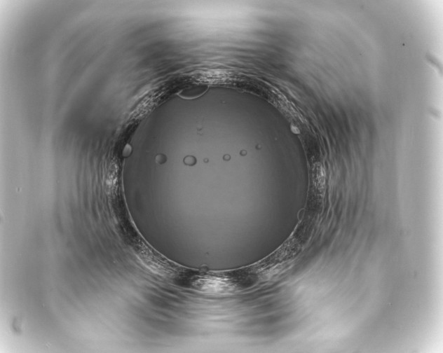 X0000093740507200710301107