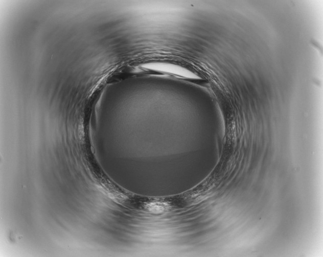 X0000093740508200710301107