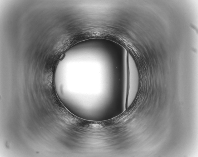 X0000093740509200710301107