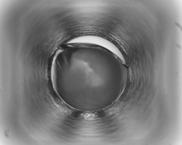 X0000093740512200710301107