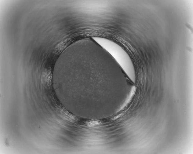 X0000093740513200710301107