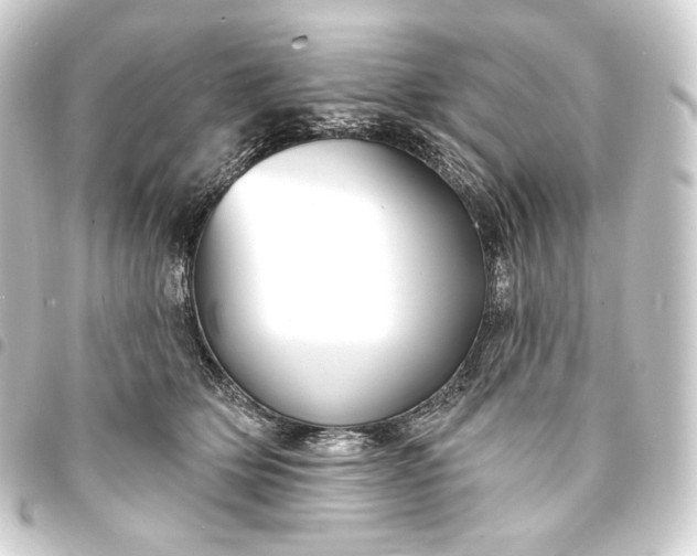 X0000093740514200710301107