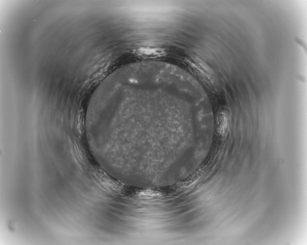 X0000093740515200710301107