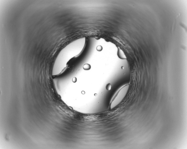 X0000093740516200710301107