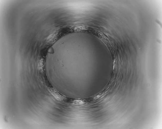 X0000093740519200710301107