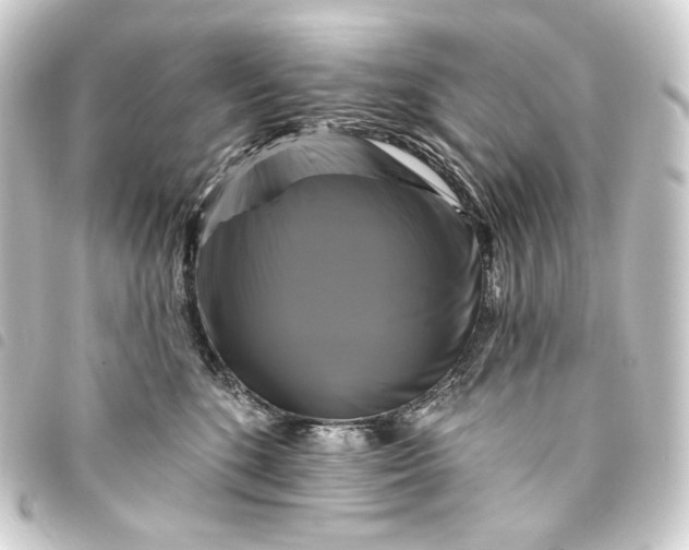 X0000093740520200710301107