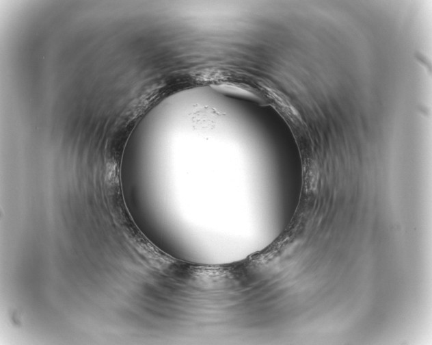 X0000093740521200710301107