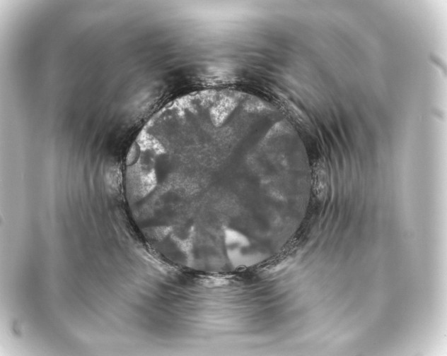 X0000093740523200710301107