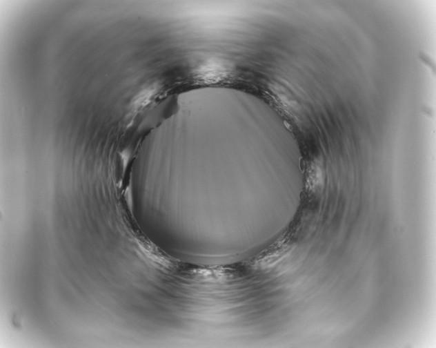 X0000093740524200710301107