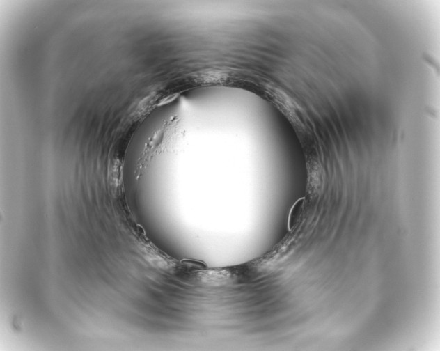 X0000093740525200710301107