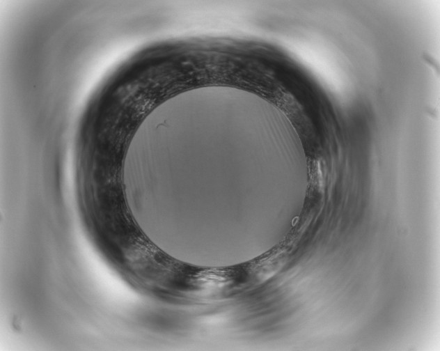 X0000093740526200710301107