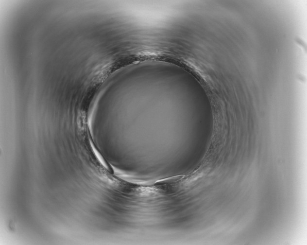 X0000093740528200710301107