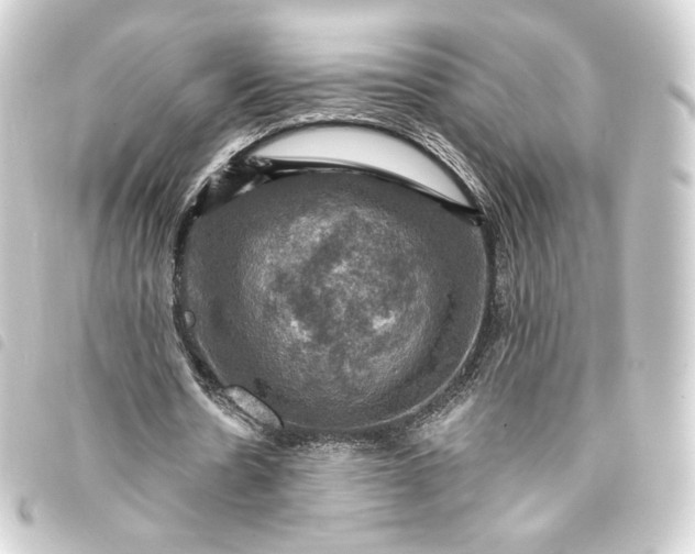 X0000093740530200710301106