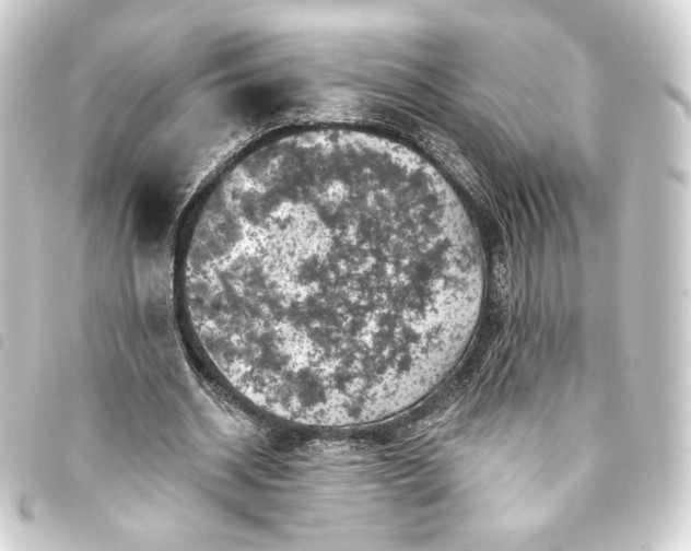 X0000093740534200710301106