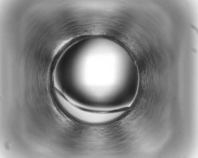 X0000093740536200710301106