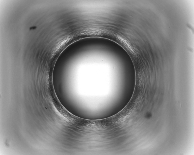 X0000093740538200710301106