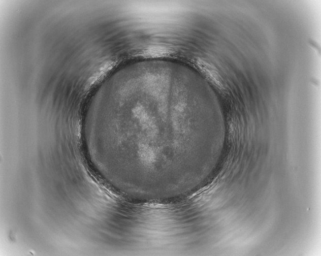 X0000093740539200710301106