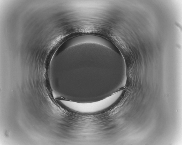 X0000093740540200710301106