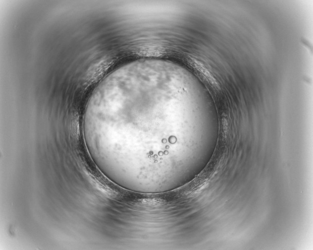 X0000093740541200710301106