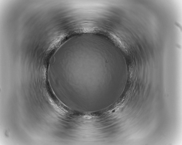 X0000093740542200710301107