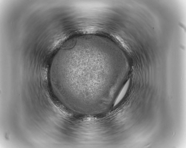 X0000093740543200710301107