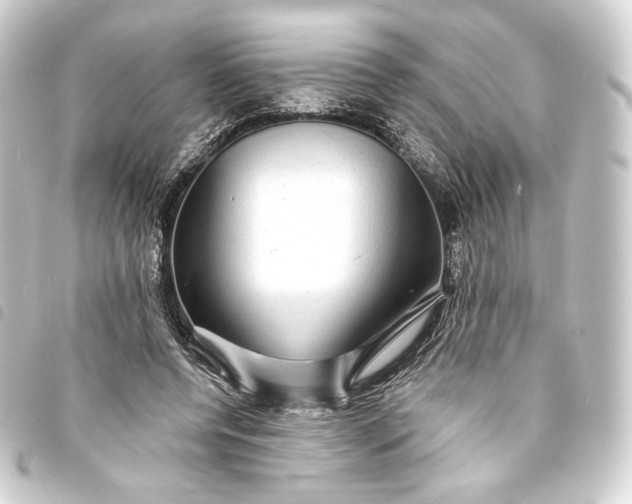 X0000093740544200710301107