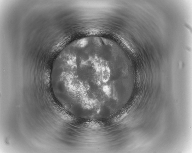 X0000093740545200710301107