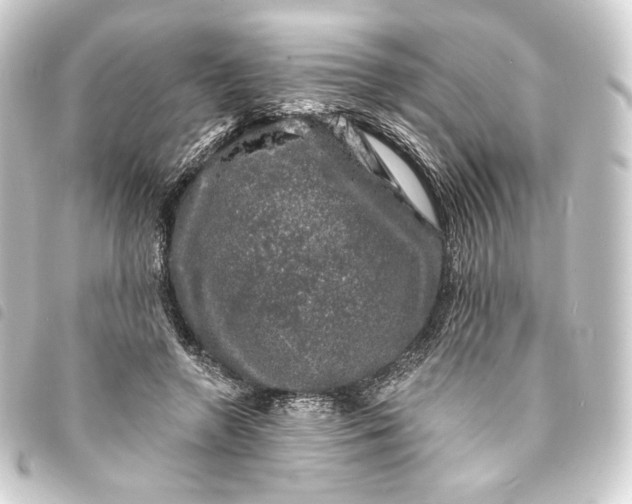 X0000093740546200710301107