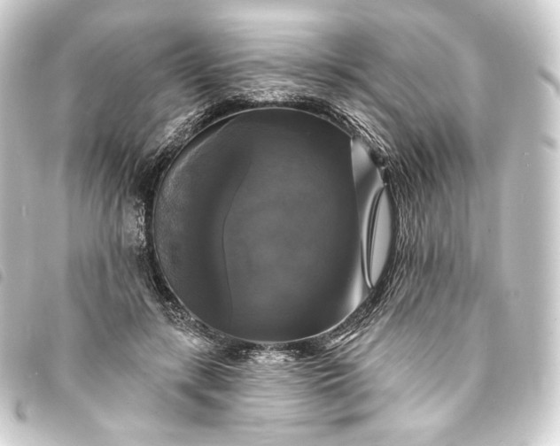 X0000093740547200710301107