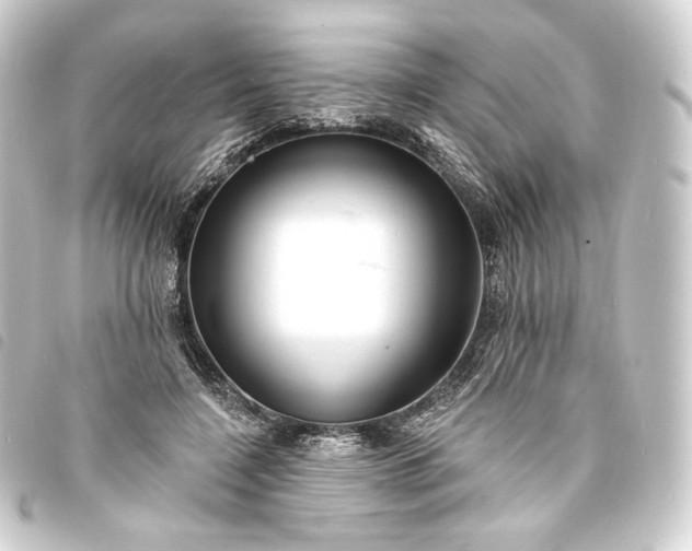 X0000093740548200710301107