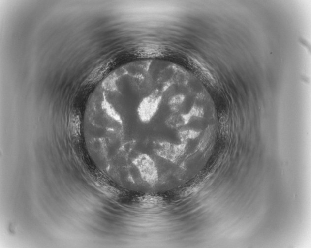 X0000093740549200710301107