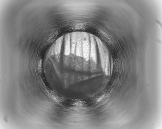 X0000093740550200710301107